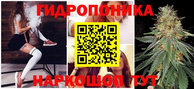 дмт Будённовск