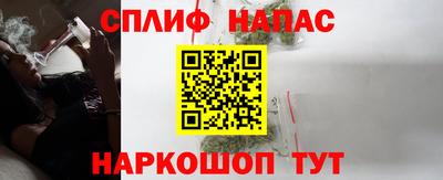 дмт Будённовск