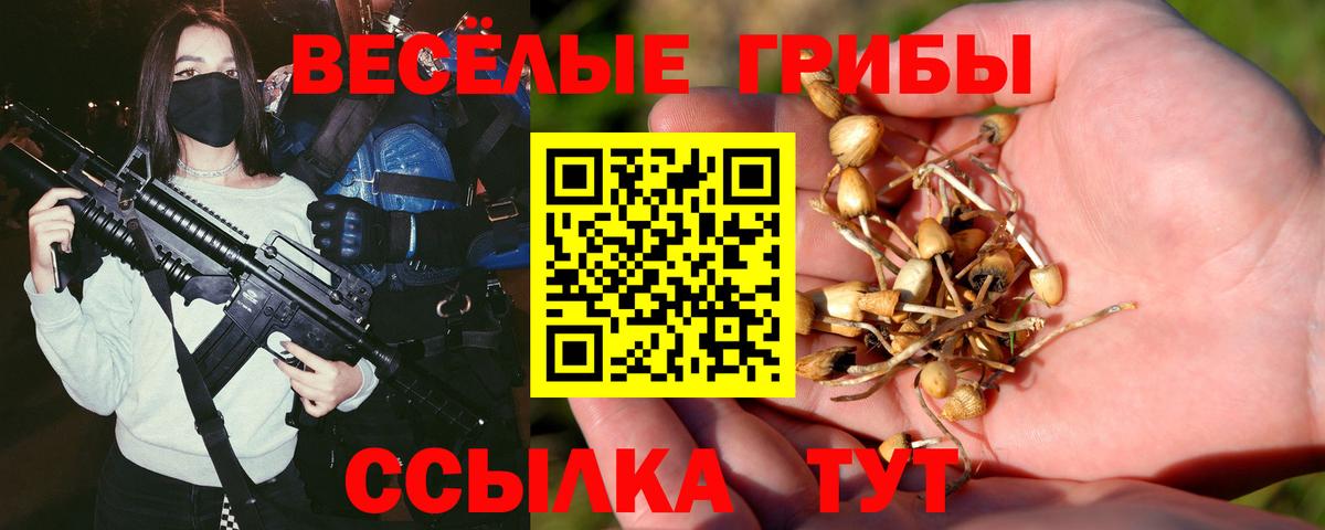 Галлюциногенные грибы Psilocybe  Вход с VPN  Чита 